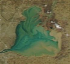 The latest, best quality satellite image of Lake St. Clair Water Quality 03-29-2016