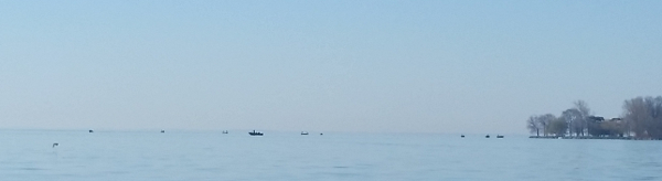A typical group of boats on this day