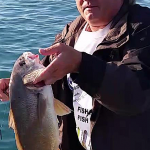Lake St. Clair Bass Report 07-20-2016