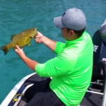 Lake St. Clair Bass Report 08-05-2016 Wayne, Randy and Dan