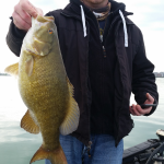 Lake St Clair 5 lb Smallmouth Bass Attack, and More…